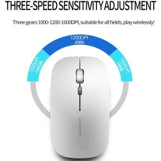1600 DPI USB Optical Wireless Mouse - Slim Ergonomic Design for Quiet Use Price in Pakistan | LAPTAB