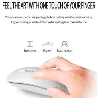 1600 DPI USB Optical Wireless Mouse - Slim Ergonomic Design for Quiet Use Price in Pakistan | LAPTAB