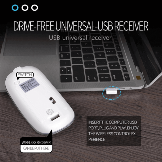1600 DPI USB Optical Wireless Mouse - Slim Ergonomic Design for Quiet Use Price in Pakistan | LAPTAB