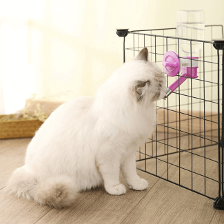 150ml Chew Proof Pet Water Bottle with Leak-Free Nozzle Price in Pakistan | LAPTAB