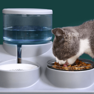 1.8L Automatic Pet Water Dispenser and Food Bowl Set for Cats and Dogs Price in Pakistan | LAPTAB