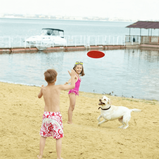 Natural Soft Rubber Frisbee for Dogs - Durable, Flexible, Safe Design Price in Pakistan | LAPTAB