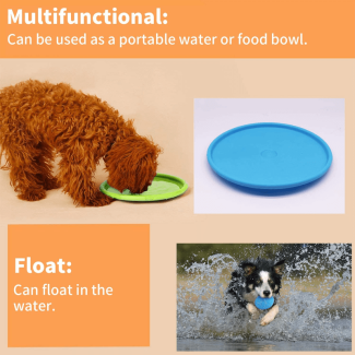 Natural Soft Rubber Frisbee for Dogs - Durable, Flexible, Safe Design Price in Pakistan | LAPTAB