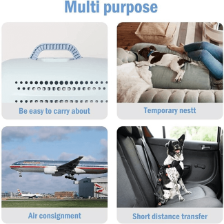Heavy Duty Portable Airbox Pet Travel Kennel for Dogs & Cats up to 12 kg Price in Pakistan | LAPTAB