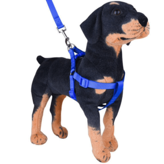 No Pull Puppy Harness with Leash - Adjustable, Comfortable, Safe Fit Price in Pakistan | LAPTAB