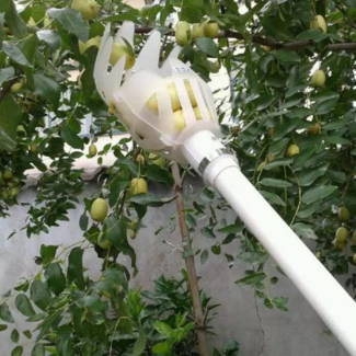 Fruit Picker with Basket Design for Easy Fruit Harvesting Without Ladders Price in Pakistan | LAPTAB
