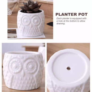 Owl Pattern Flowerpot Set - 3 Decorative Ceramic Pots for Home Plants Price in Pakistan | LAPTAB
