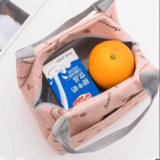 Collapsible Insulated Lunch Bag