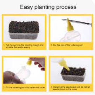 DIY Mini Zilipoo Cozy Farm Kit for Kids - Learn Plant Cultivation Price in Pakistan | LAPTAB