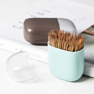 Magnetic Toothpick Holder Case - Cute and Functional Fridge Organizer Price in Pakistan | LAPTAB