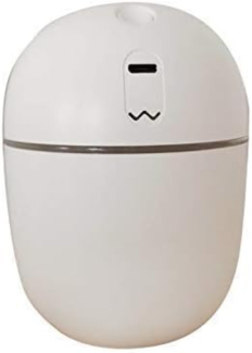 Portable USB Mist Maker Air Treatment