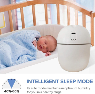 Portable USB Mist Maker Humidifier with 220ml Tank and Quiet Operation Price in Pakistan | LAPTAB