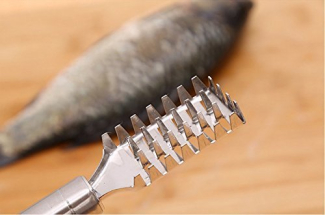 Stainless Steel Fish Scale Remover with Serrated Teeth for Easy Scaling Price in Pakistan | LAPTAB