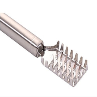 Stainless Steel Fish Scale Remover with Serrated Teeth for Easy Scaling Price in Pakistan | LAPTAB