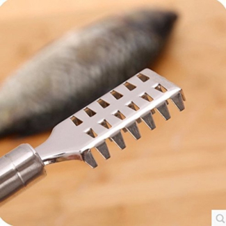 Stainless Steel Fish Scale Remover with Serrated Teeth for Easy Scaling Price in Pakistan | LAPTAB