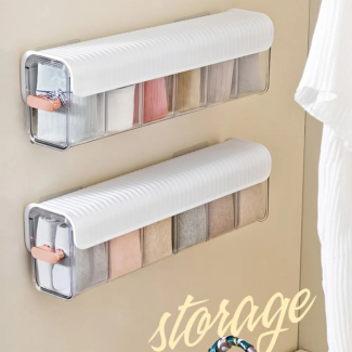 Wall Mounted Storage Box for Underwear and Small Accessories Organizer Price in Pakistan | LAPTAB