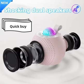 Wireless Bluetooth Speaker with Mic and LED Lights, Rechargeable Price in Pakistan | LAPTAB