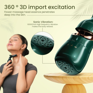 3-in-1 Face and Neck Massager for Lifting and Anti-Aging Treatment Price in Pakistan | LAPTAB