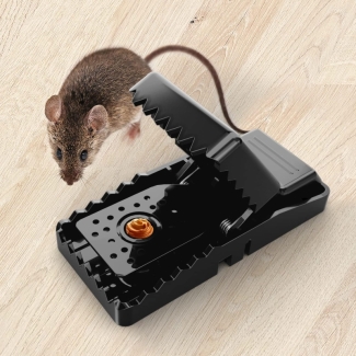 2 Pieces Big Size Rat Trap for Effective Rodent Control Price in Pakistan | LAPTAB