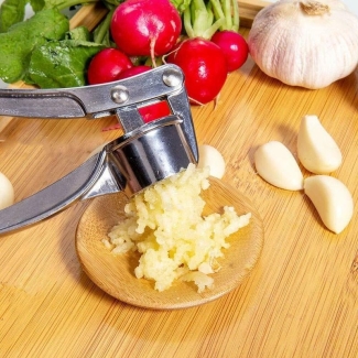 stainless steel garlic press rocker