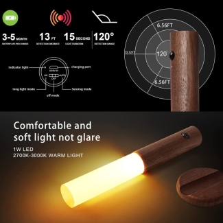 Intelligent Induction Light with Motion Detection and Energy Efficiency Price in Pakistan | LAPTAB